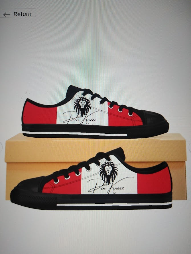 Custom Shoes and Sneakers