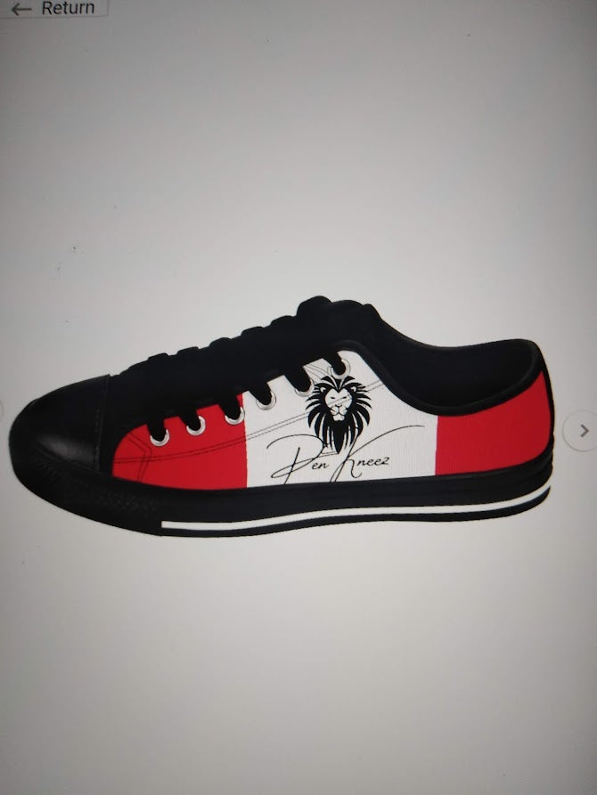 Custom Shoes and Sneakers